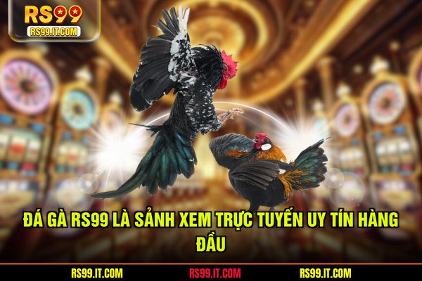 Đá gà RS99 là sảnh xem trực tuyến uy tín hàng đầu